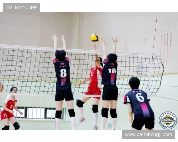 上海排球队在全国排球耐力排行榜中荣获第五名的佳绩分析与展望