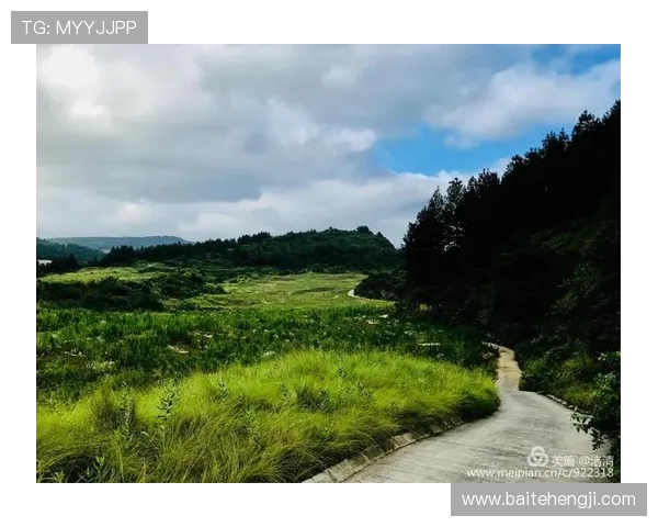 张丽的足球人生：从小球场到国际舞台的深度对话与成长故事