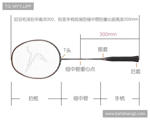 探秘北京羽毛球队的区域防守战术与技术深度分析
